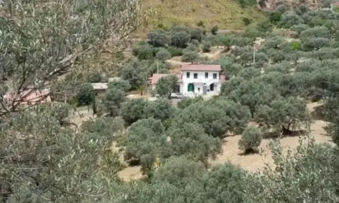 Rexer-Agnana-Calabra-Casa-Rurale-Trifamiliare-ALTRO