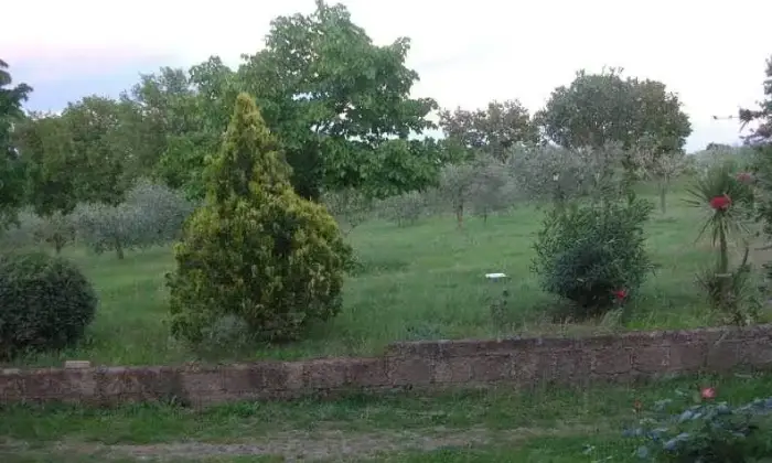Rexer-Roma-Villa-GIARDINO