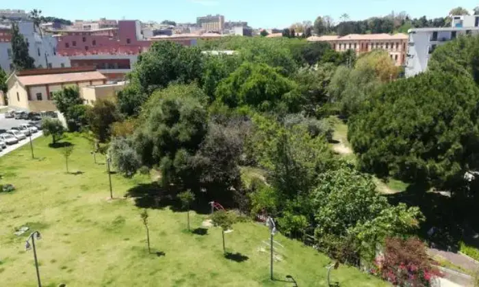 Rexer-Cagliari-Per-studenti-parco-della-musica-ALTRO