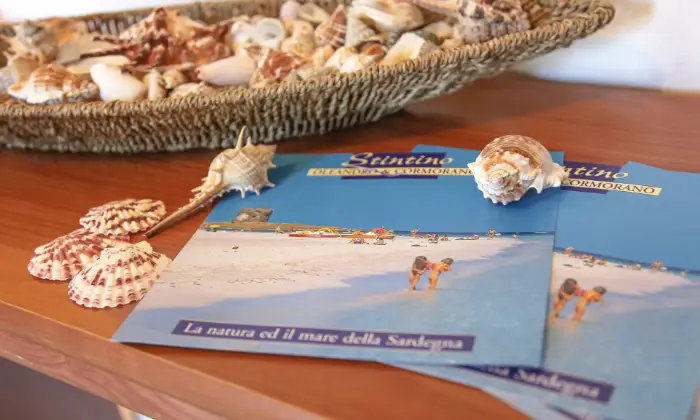 Rexer-Stintino-Multiproprieta-in-vendita-a-localit-Punta-Negra-ALTRO