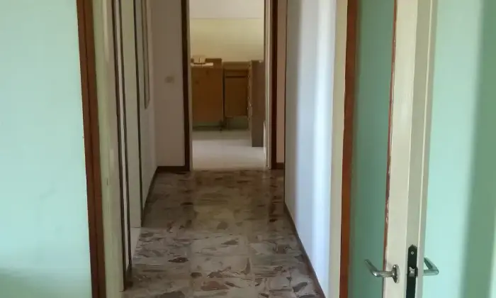 Rexer-Pavia-Per-tre-studentesse-con-tre-ampie-camere-indipendenti-ALTRO