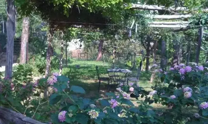 Rexer-Vietri-sul-Mare-Affitto-Monolocale-piano-terra-ALTRO