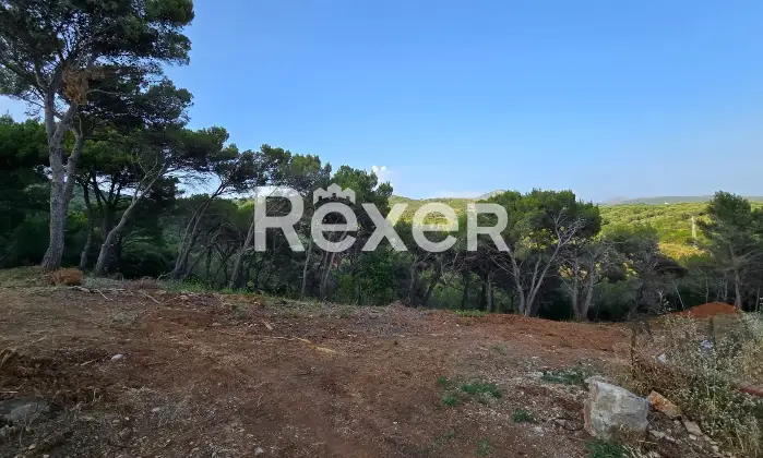 Rexer-Camerota-Cilento-Villa-con-vista-panoramica-allo-stato-grezzo-con-terreno-da-a-ettari-Altro
