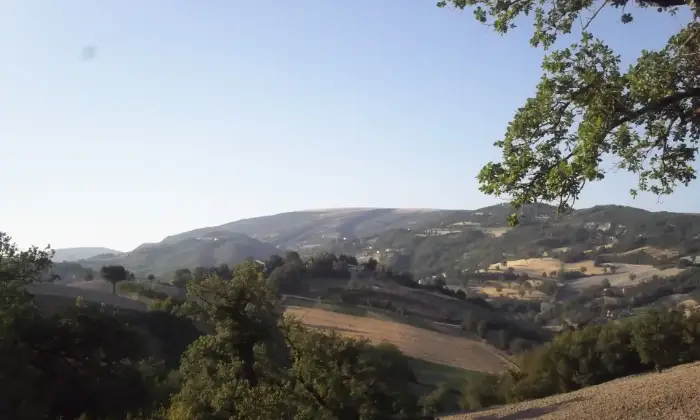 Rexer-Cagli-Villa-Casa-indipendente-in-Localit-Monte-Scatto-Cagli-CUCINA