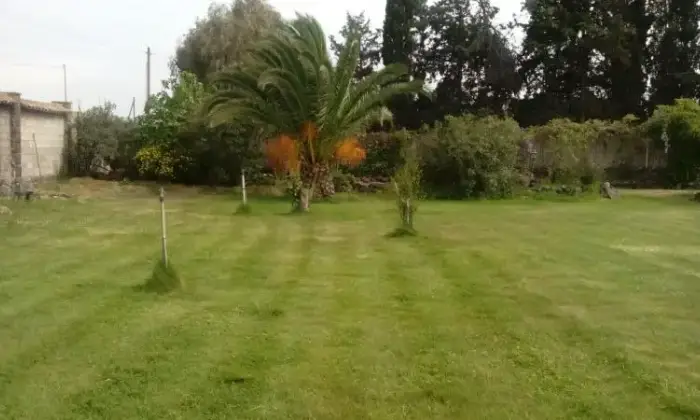 Rexer-Simaxis-Appartamento-in-affitto-GIARDINO