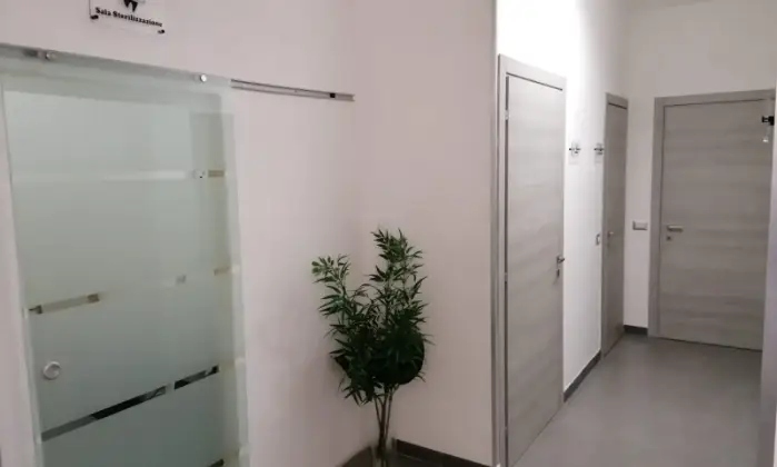 Rexer-Roma-Studi-Medici-Palombini-Health-Center-RECEPTION-E-SALA-DATTESA