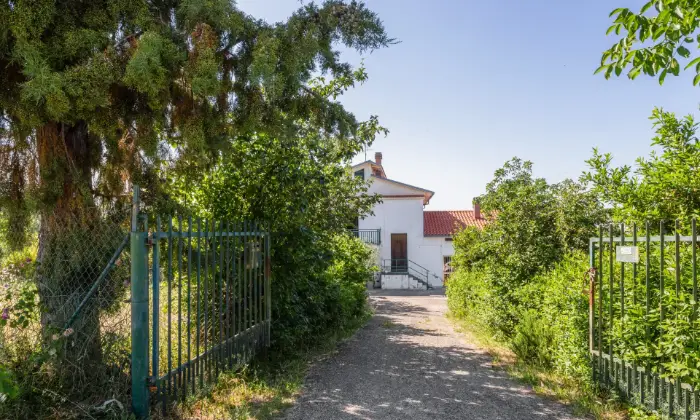 Rexer-Fresagrandinaria-Casa-semindipendente-immersa-nel-verde-Fresagrandinaria-ESTERNO