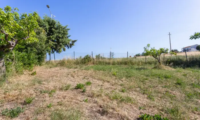 Rexer-Fresagrandinaria-Casa-semindipendente-immersa-nel-verde-Fresagrandinaria-GIARDINO