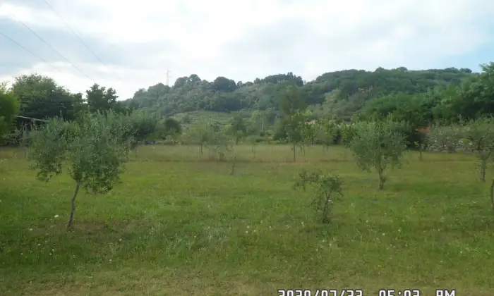 Rexer-Filattiera-Edificio-seminterrato-posto-in-area-fabbricabile-e-terreno-agricolo-attiguo-ettaro-ALTRO