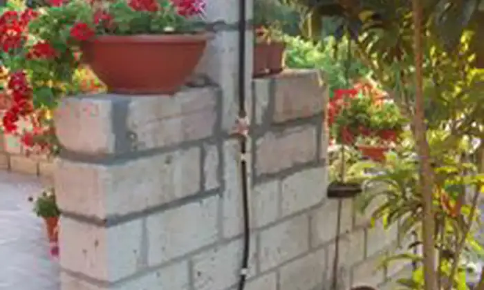 Rexer-Bosa-Villetta-i-Ciliegi-immersa-nei-vigneti-di-Bosa-ALTRO