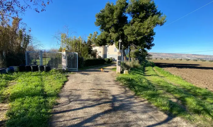 Rexer-San-Martino-in-Pensilis-Azienda-Agricola-in-Molise