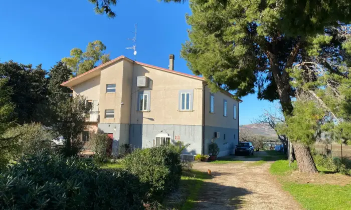 Rexer-San-Martino-in-Pensilis-Azienda-Agricola-in-Molise