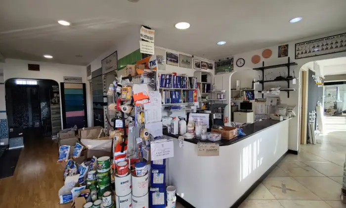 Rexer-Latina-STORICO-LOCALE-COMMERCIALE-ALTRO