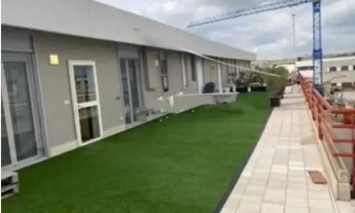 Rexer-Ruvo-di-Puglia-Vendesi-Capannone-in-Via-Don-Primo-MazzolariRuvo-di-Puglia-Giardino