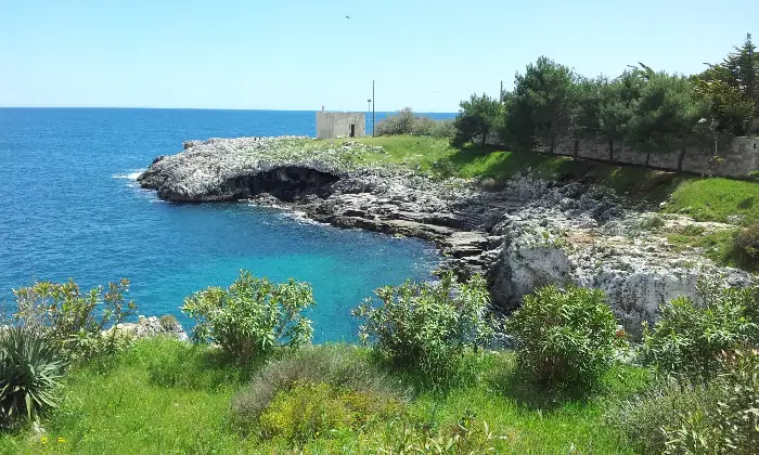Rexer-Uggiano-la-Chiesa-TERRENO-AGRICOLO-oliveto-di-mq-a-UGGIANO-LA-CHIESA-a-pochi-minuti-da-Otranto-LE-Altro