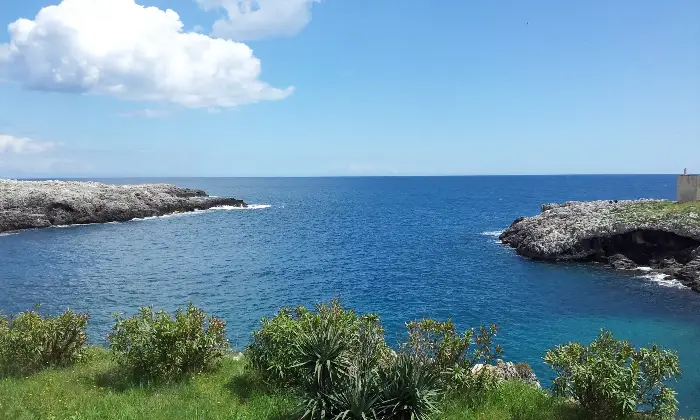 Rexer-Uggiano-la-Chiesa-Otranto-Terreno-oliveto-di-mq-a-minuti-da-Otranto-LE-Terrazzo