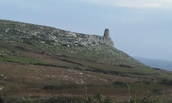 Rexer-Uggiano-la-Chiesa-TERRENO-AGRICOLO-oliveto-di-mq-a-UGGIANO-LA-CHIESA-a-pochi-minuti-da-Otranto-LE-Terrazzo