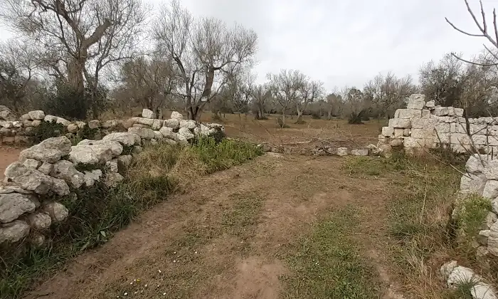 Rexer-Uggiano-la-Chiesa-Otranto-Terreno-oliveto-di-mq-a-minuti-da-Otranto-LE-Giardino