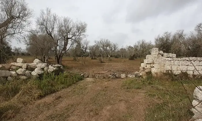 Rexer-Uggiano-la-Chiesa-Otranto-Terreno-oliveto-di-mq-a-minuti-da-Otranto-LE-Giardino