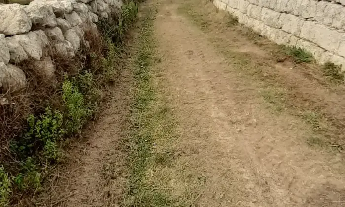 Rexer-Uggiano-la-Chiesa-Otranto-Terreno-oliveto-di-mq-a-minuti-da-Otranto-LE-Giardino