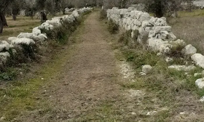 Rexer-Uggiano-la-Chiesa-Otranto-Terreno-oliveto-di-mq-a-minuti-da-Otranto-LE-Giardino
