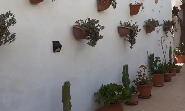 Rexer-Cagnano-Varano-CasaIndipendente-in-Contrada-Capoiale-Cagnano-Varano-Giardino