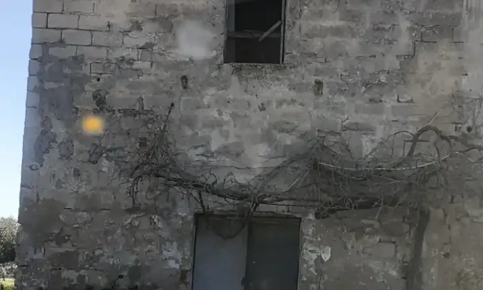 Rexer-Misiliscemi-Uliveto-con-rustico-in-Strada-Solfarello-Trapani-Altro