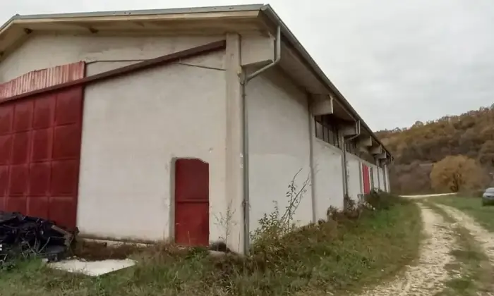 Rexer-Rocca-Sinibalda-Casale-Strada-Provinciale-Roccasinibalda-Longone-Rocca-Sinibalda-Giardino