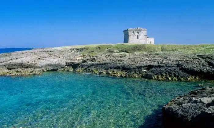 Rexer-San-Vito-dei-Normanni-Attico-via-Dottor-Vincenzo-Azzariti-a-San-Vito-dei-Normanni-Giardino