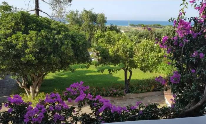 Rexer-Siniscola-Vendesi-villa-in-Ss-a-Siniscola-Giardino