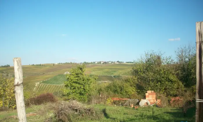 Rexer-Casa-Mascandola-Terreno-edificabile-a-CASA-MASCANDOLA-fraz-di-Ziano-Piacentino-colline-Val-Tidone-Altro