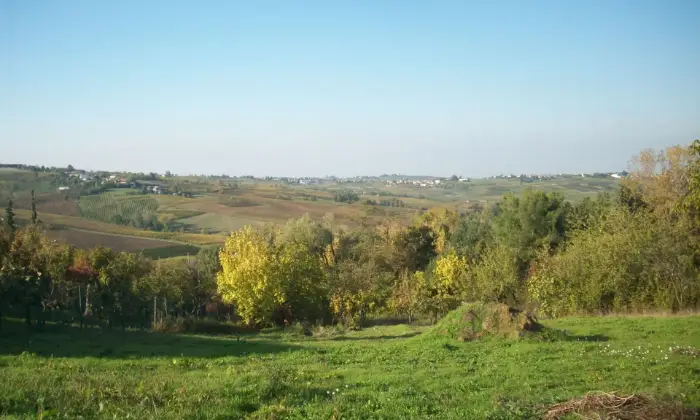 Rexer-Casa-Mascandola-Terreno-edificabile-a-CASA-MASCANDOLA-fraz-di-Ziano-Piacentino-colline-Val-Tidone-Altro