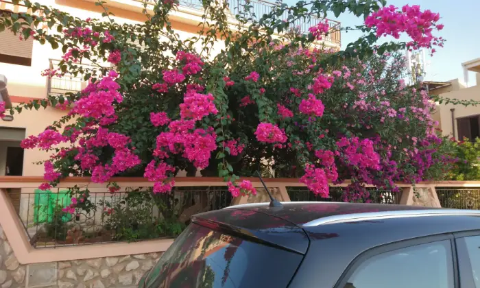 Rexer-San-Vito-Lo-Capo-Vendesi-bifamiliare-Giardino