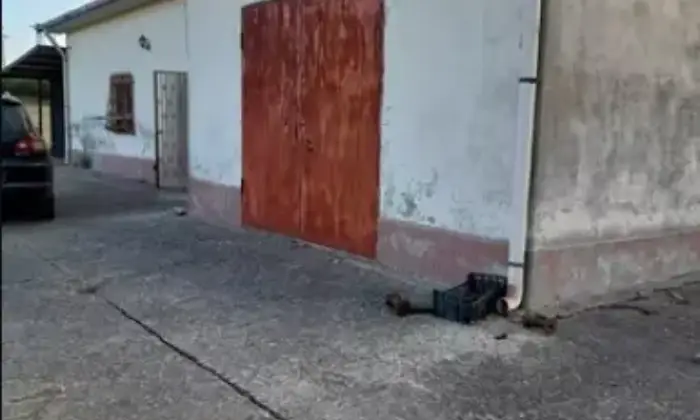 Rexer-Bisaccia-Vendesi-casa-indipendente-a-Bisaccia-AV-Terrazzo