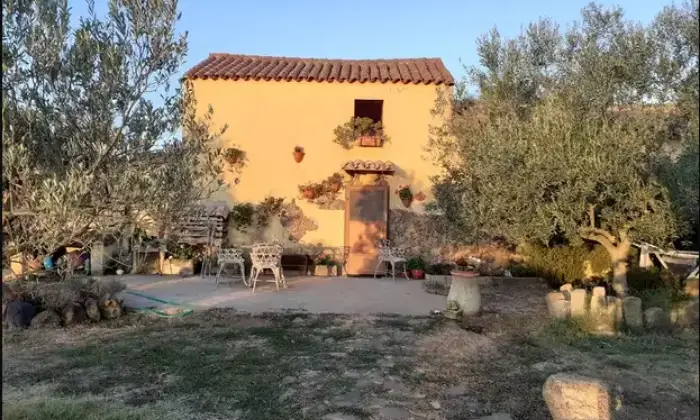 Rexer-Guspini-Immobile-in-vendita-in-localit-Pratzidus-a-Guspini-Terrazzo