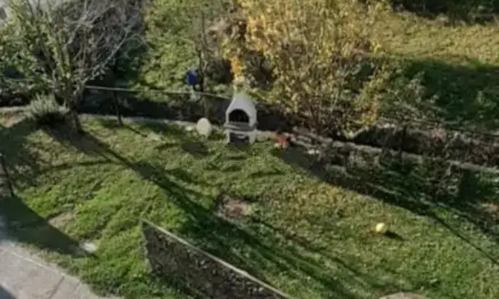 Rexer-Pallare-Vendesi-casa-semi-indipendente-a-Localit-Triberti-Pallare-Giardino