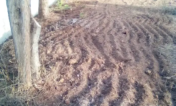Rexer-Cabras-Lotto-di-Terra-vicinanze-MARE-Occasione-Giardino