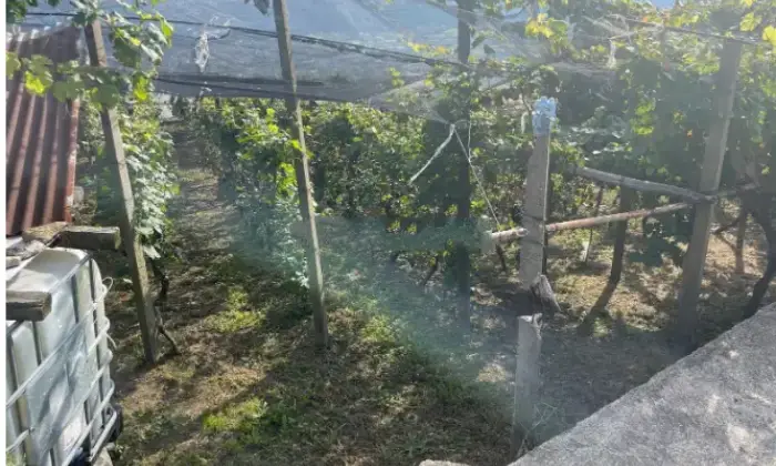 Rexer-Civo-Casalecascina-in-vendita-in-localit-Civasca-Terrazzo