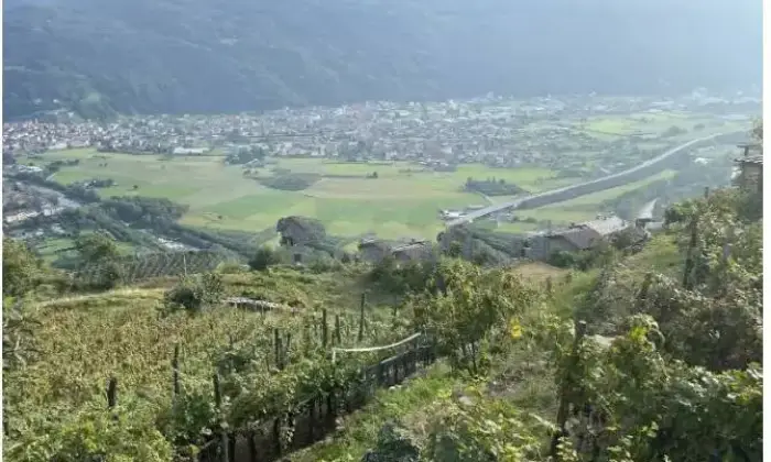 Rexer-Civo-Casalecascina-in-vendita-in-localit-Civasca-Terrazzo