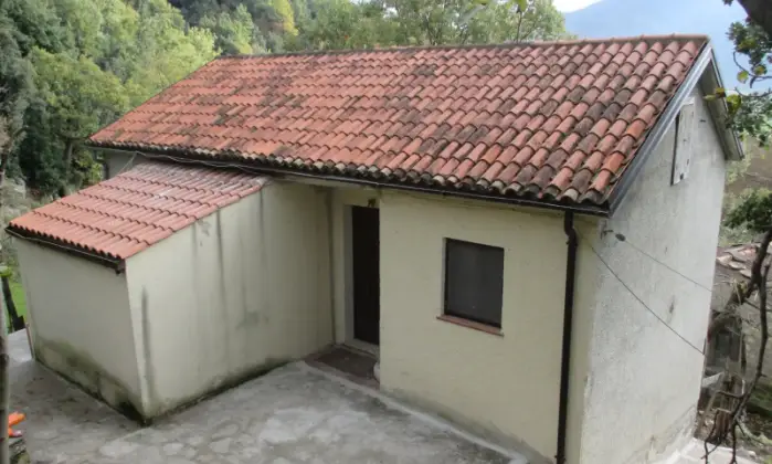 Rexer-Pietrapertosa-Propriet-rustica-in-vendita-in-contrada-Rossa-a-Pietrapertosa-Giardino