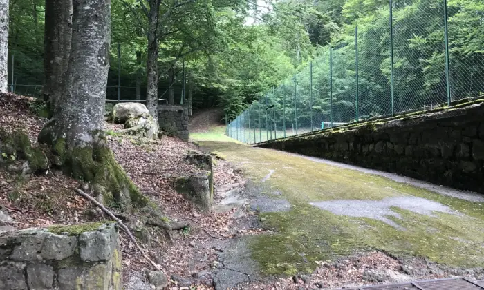 Rexer-Abetone-Cutigliano-Bilocale-in-vendita-in-via-del-Sestaione-ad-Abetone-Cutigliano-Nella-localit-di-Pian-di-Novello-Giardino