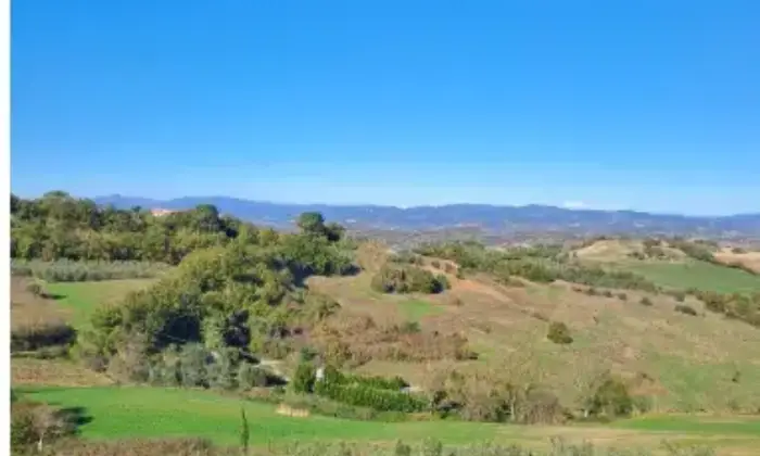 Rexer-Cinigiano-Appartamento-quadrilocale-in-vendita-a-Cinigiano-GR-Terrazzo