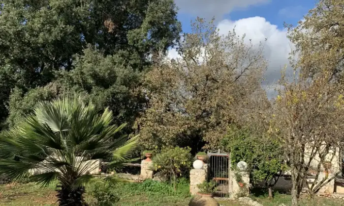 Rexer-Noto-Villetta-Buen-Retiro-Giardino