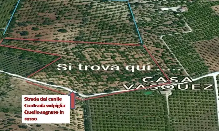 Rexer-Noto-Terreno-pianeggiante-Noto-Cda-volpiglia-Altro