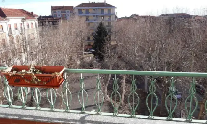 Rexer-Pinerolo-Bilocale-in-vendita-a-Pinerolo-TO-Giardino