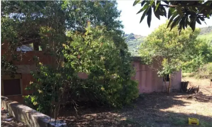 Rexer-Roccavaldina-Propriet-rustica-in-vendita-in-via-San-Giuseppe-a-Roccavaldina-Giardino