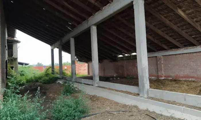 Rexer-Frascaro-Casalecascina-in-vendita-in-localit-Tacconotti-Terrazzo