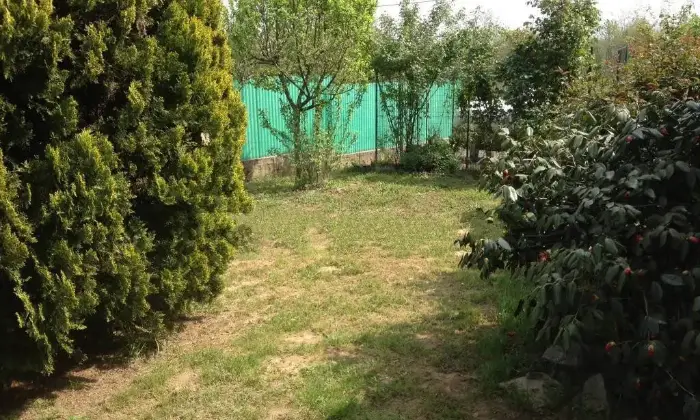 Rexer-Alice-Castello-Casa-indipendente-con-giardino-fronteretro-Giardino