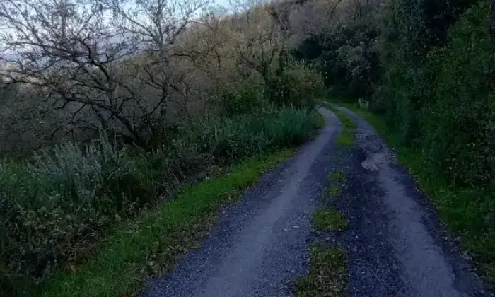 Rexer-Albanella-Rustico-in-costruzione-con-ampio-terreno-panoramico-Altro