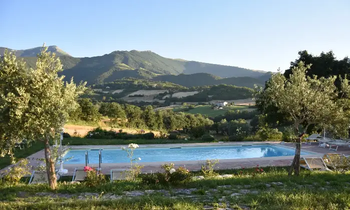 Rexer-Paravento-Incantevole-villa-con-piscina-nelle-Marche-Giardino